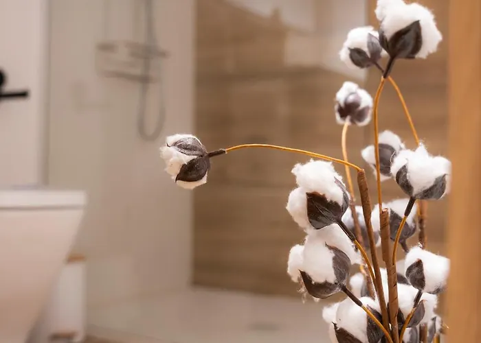 Apartamento Alto Ubiro *